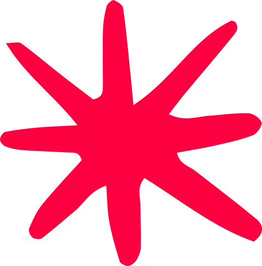 Red star-like shape on a white background
