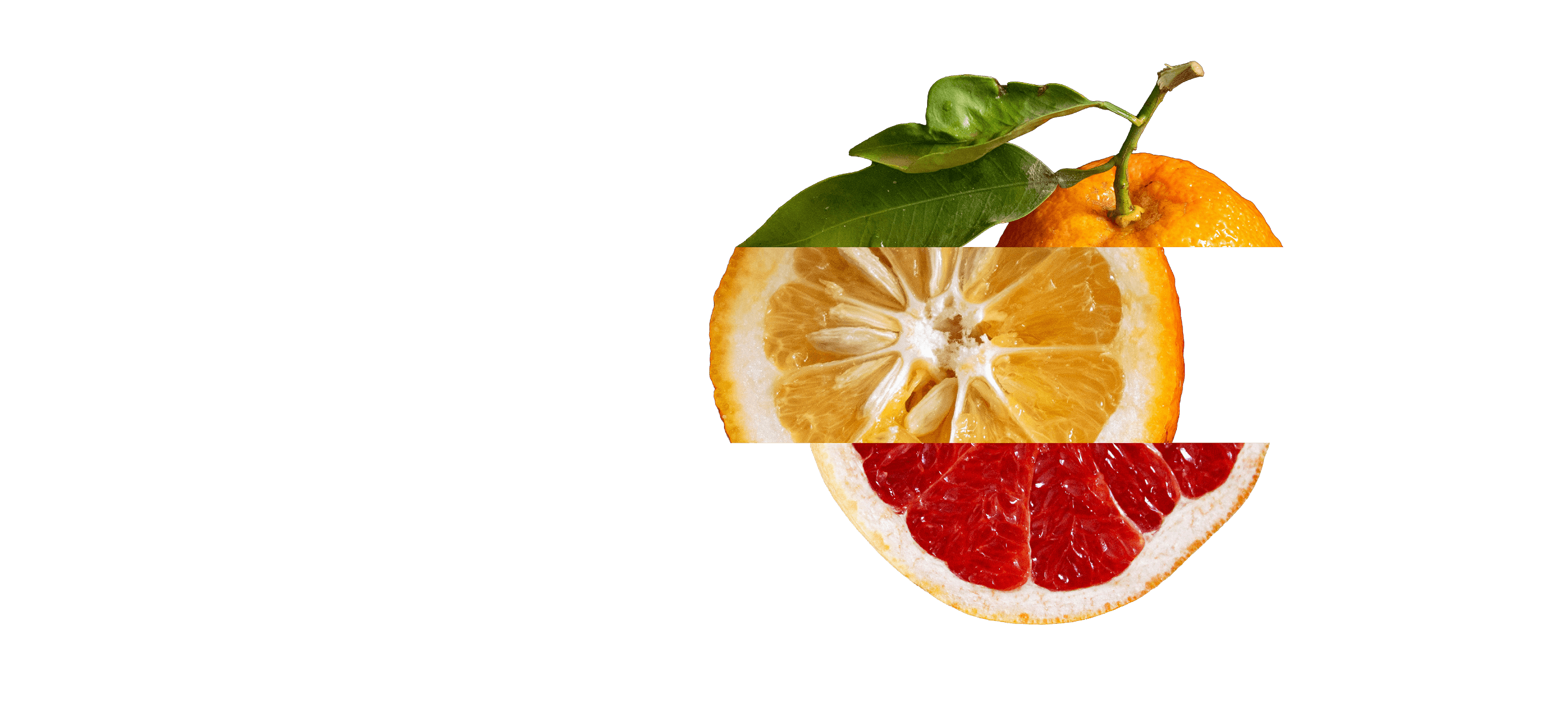 Sliced citrus fruits on a white background
