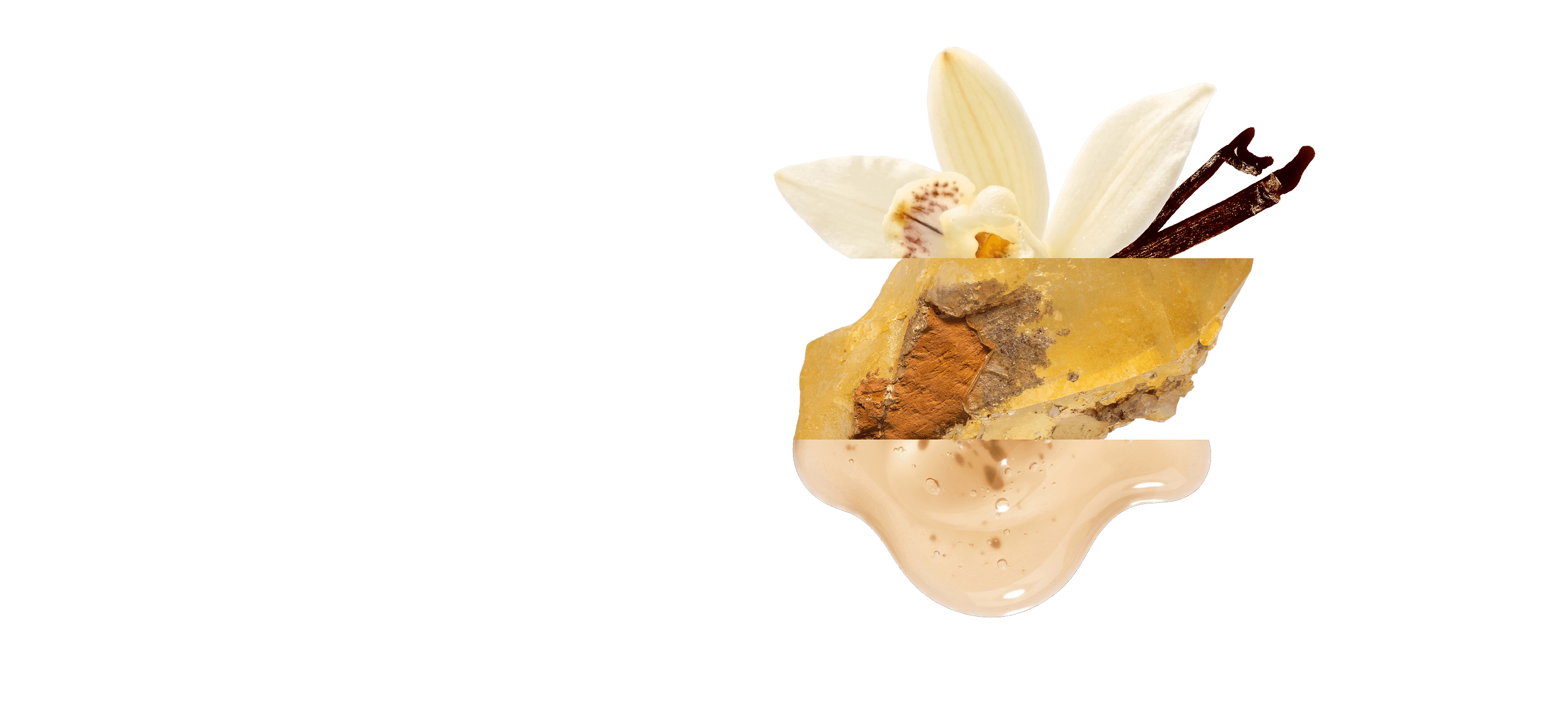 
Decorative arrangement with a white flower, brown leaf, and beige stone on a white background