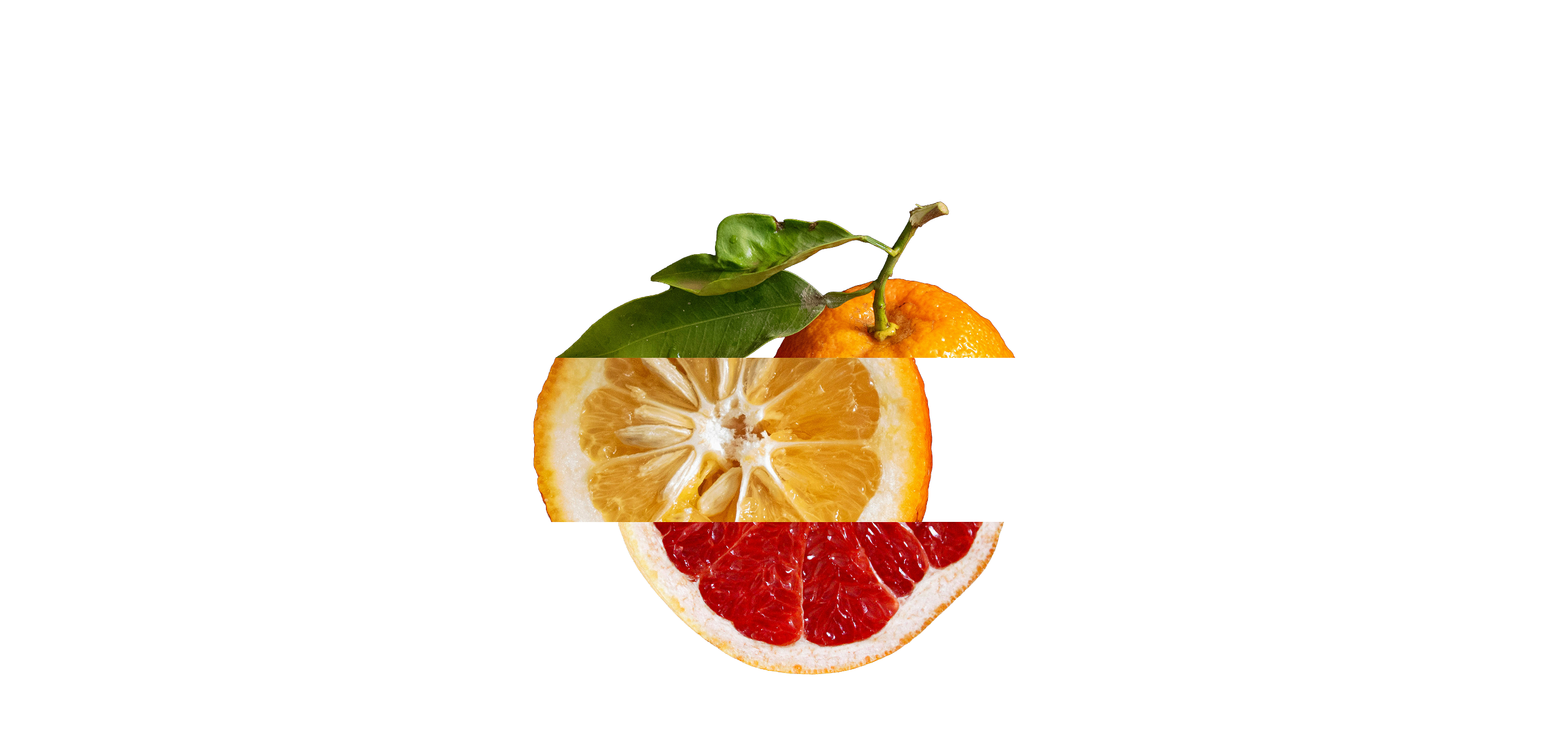 Sliced orange and grapefruit on a white background