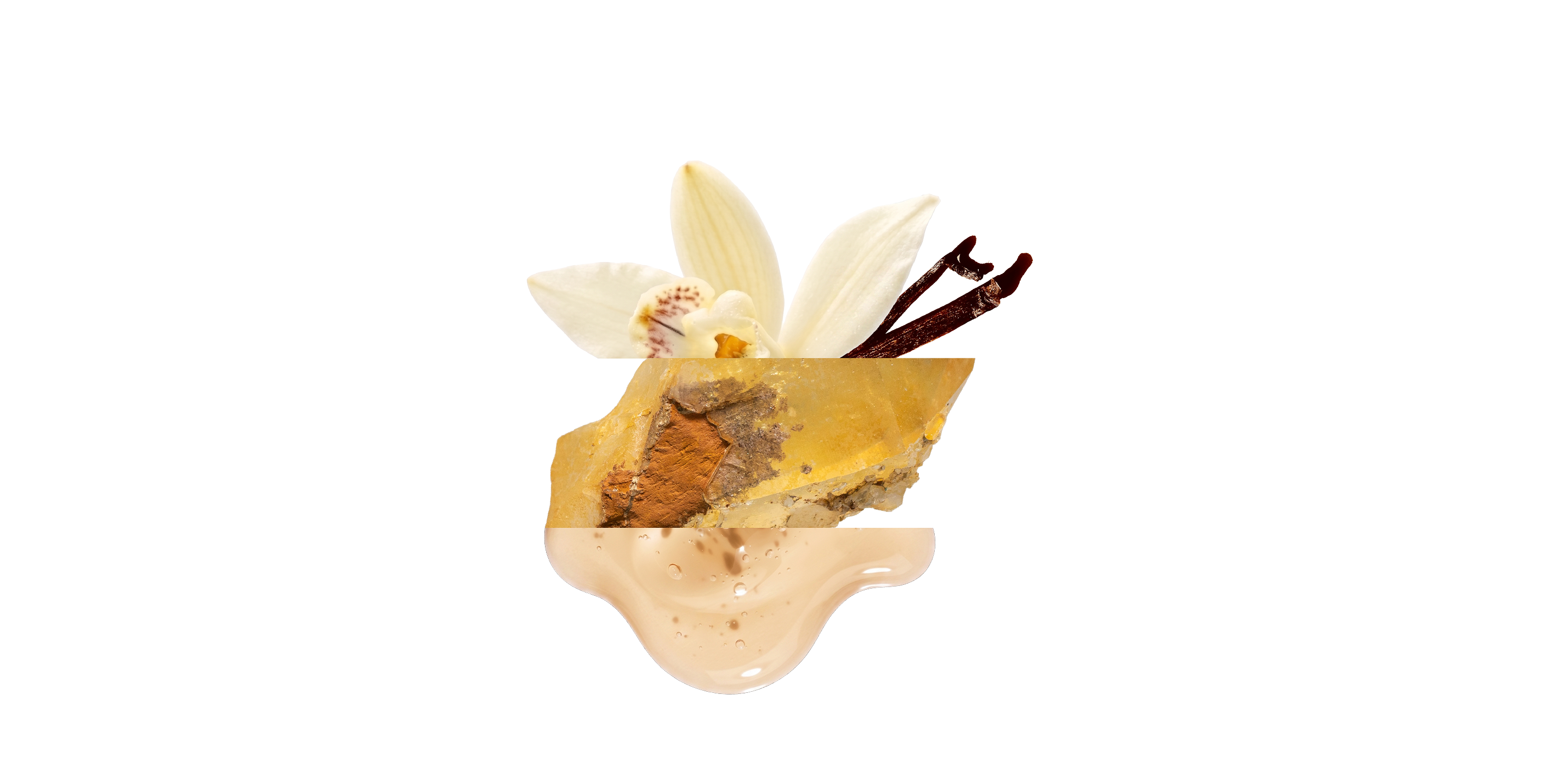 Decorative arrangement with a white flower, brown leaf, and beige stone on a white background